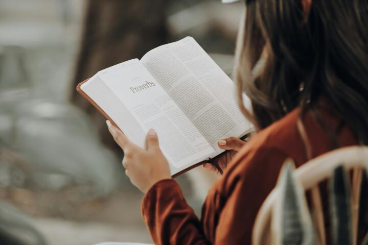 Building a Reading Habit: From 0 to 50 Books a Year