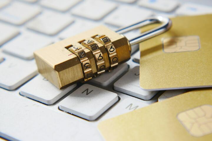 The Price of Privacy: Is Encrypted Software Worth the Extra Cost?
